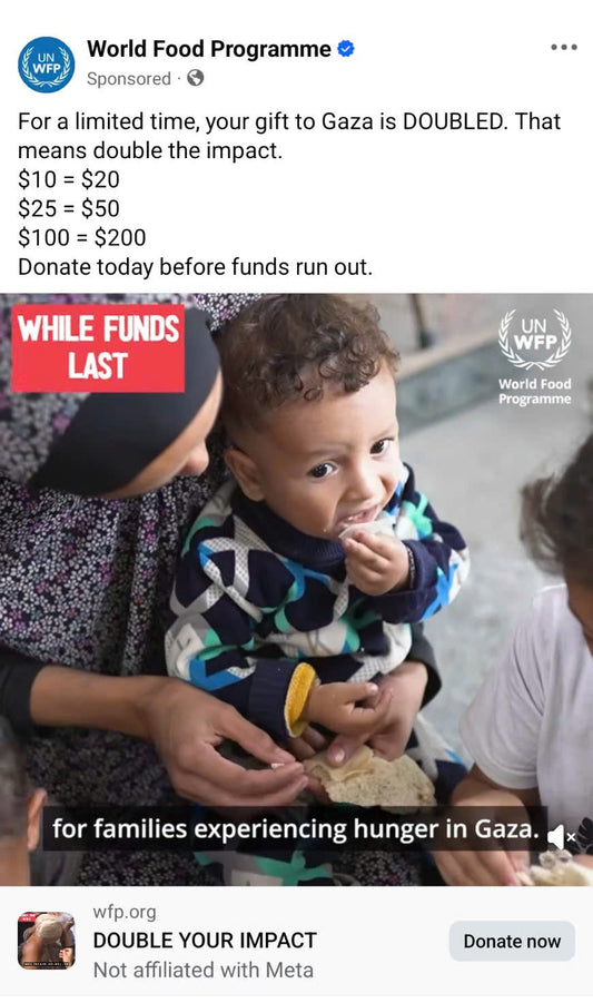 World food program