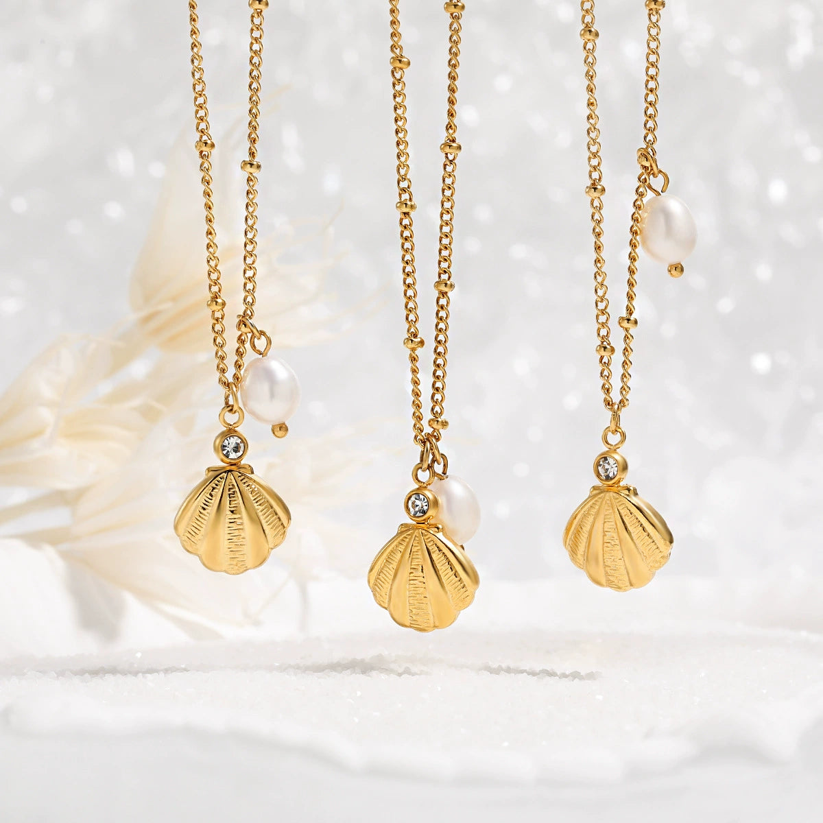 Seashell Necklace on white background