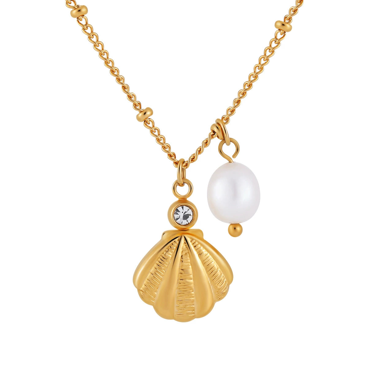 Seashell Necklace on white background