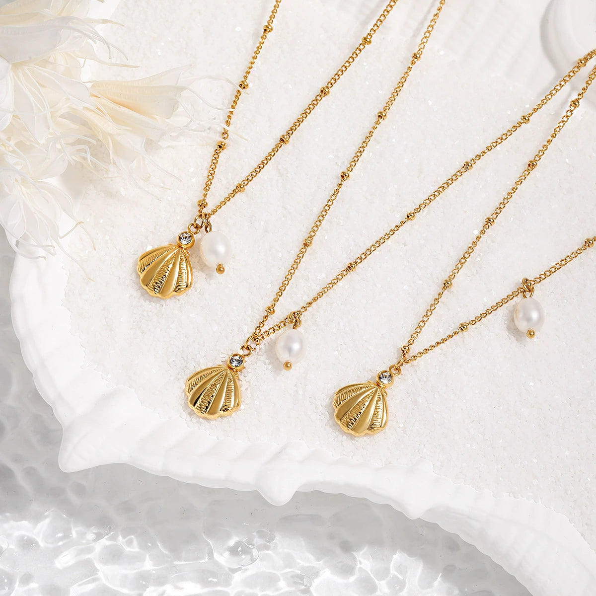 Seashell Necklace on white background